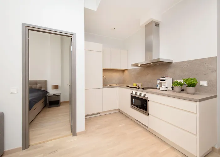 Apartament 8era Business Executive Rotermanni *